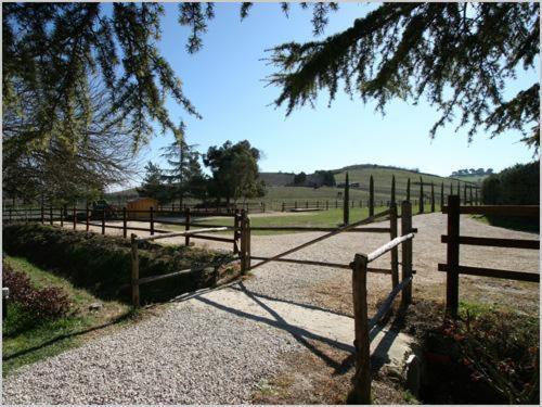 Tenuta Agricola Fonte Di Papa Affittacamere Monterotondo  Esterno foto