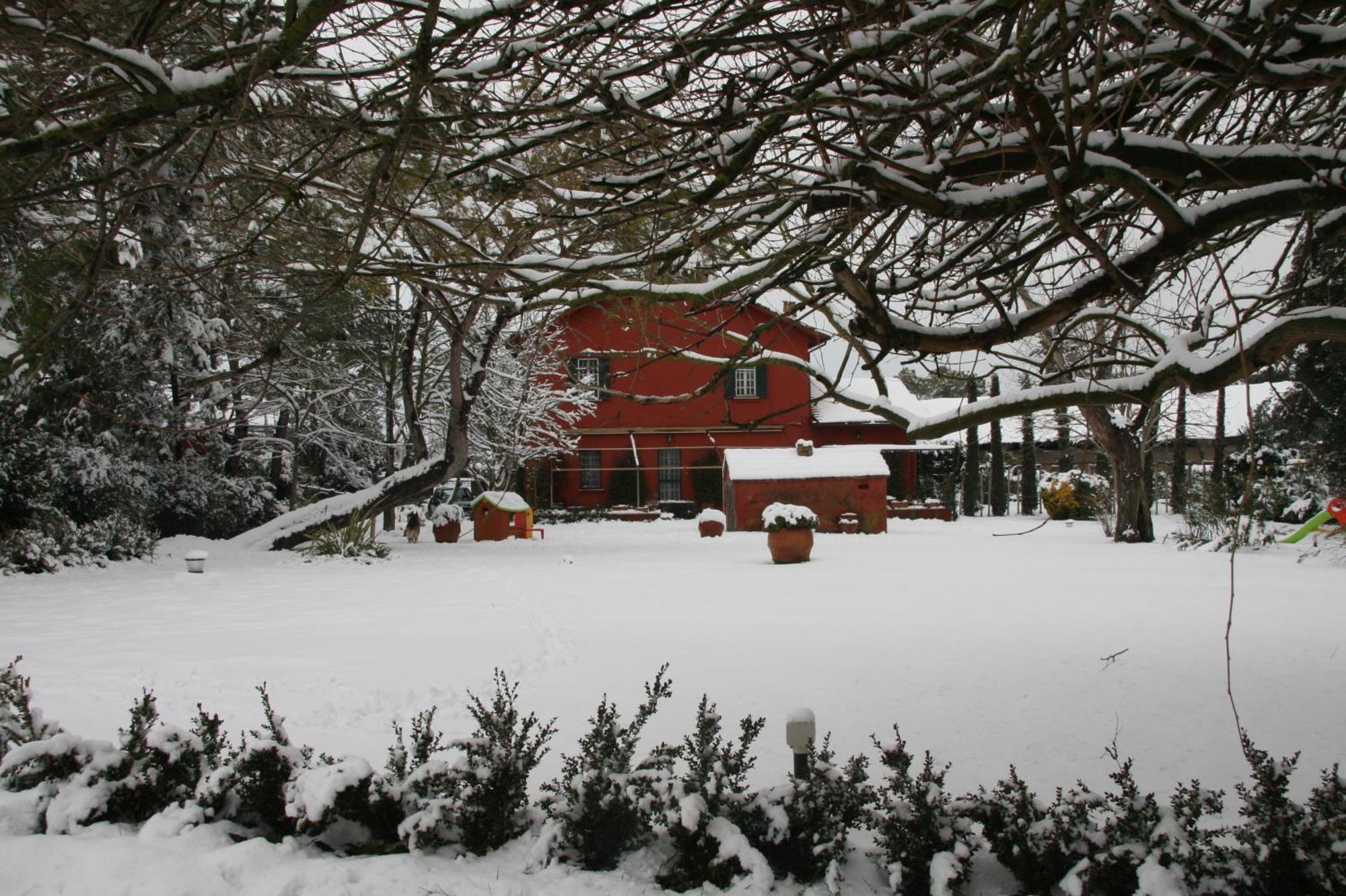 Tenuta Agricola Fonte Di Papa Affittacamere Monterotondo  Esterno foto