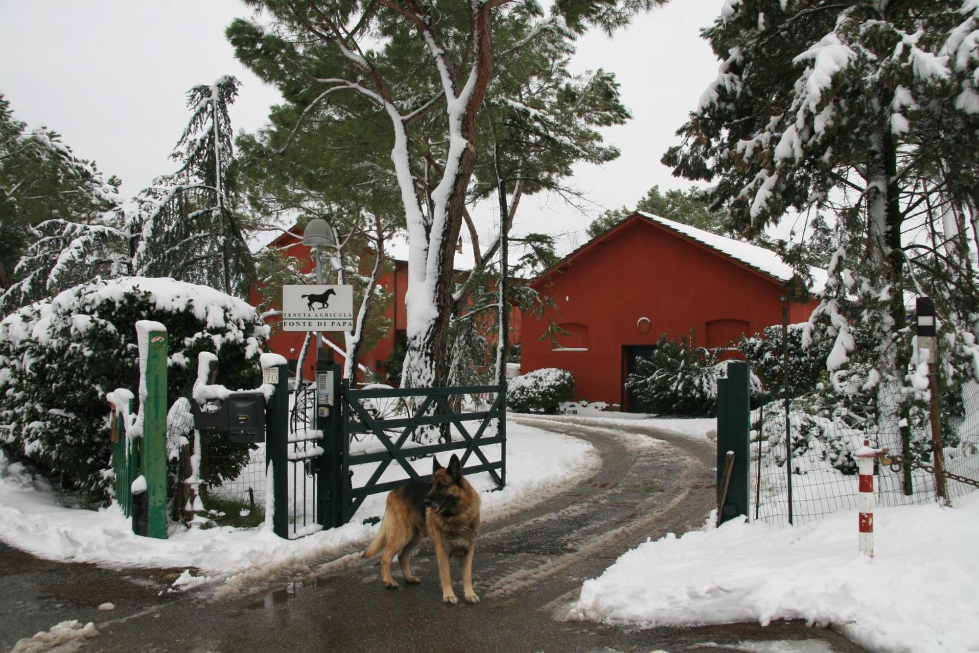 Tenuta Agricola Fonte Di Papa Affittacamere Monterotondo  Esterno foto