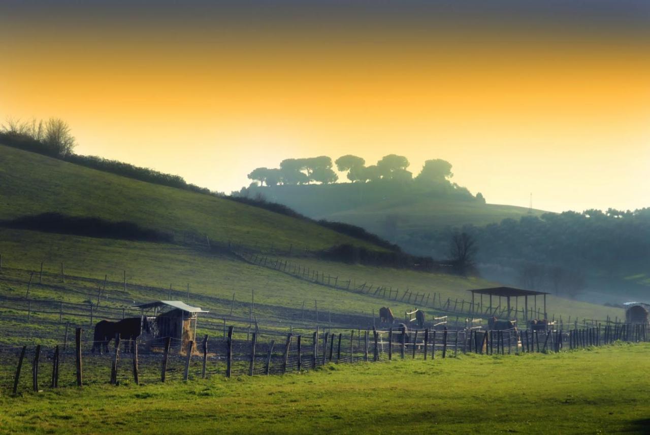 Tenuta Agricola Fonte Di Papa Affittacamere Monterotondo  Esterno foto